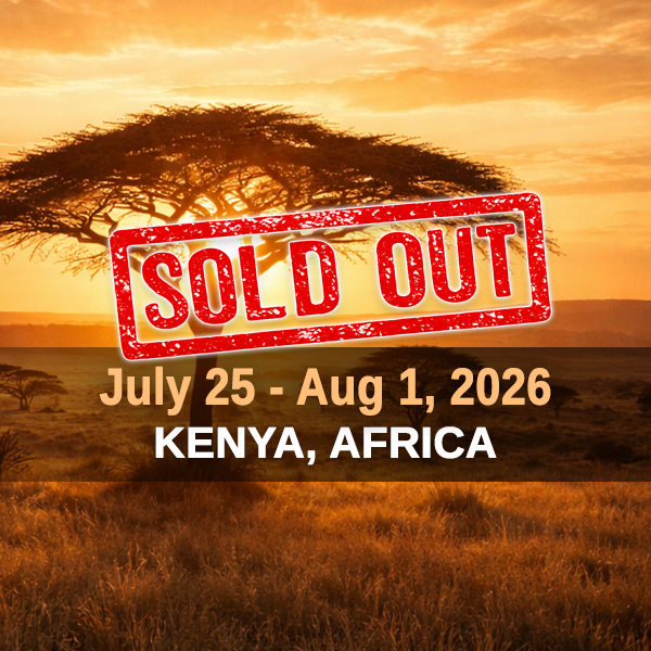 Ticket - SOLD OUT