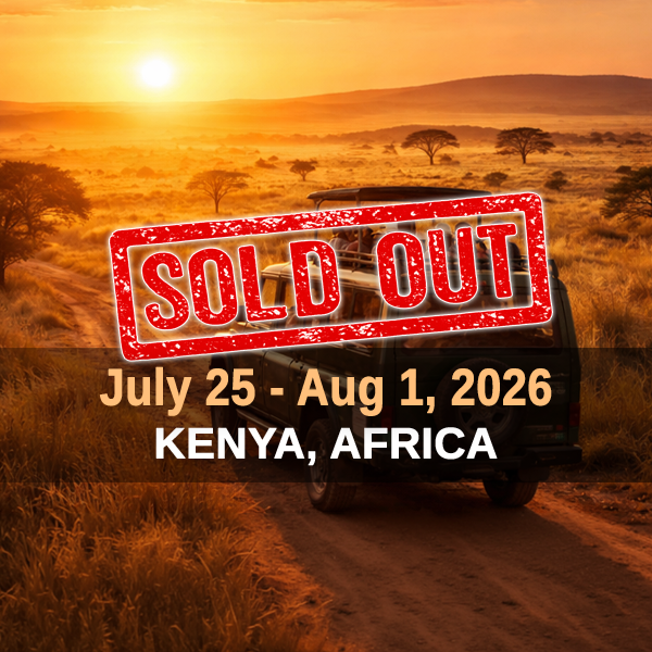 Ticket - SOLD OUT